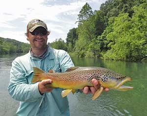 Brown Trout NC Fly-Fishing Outfitter